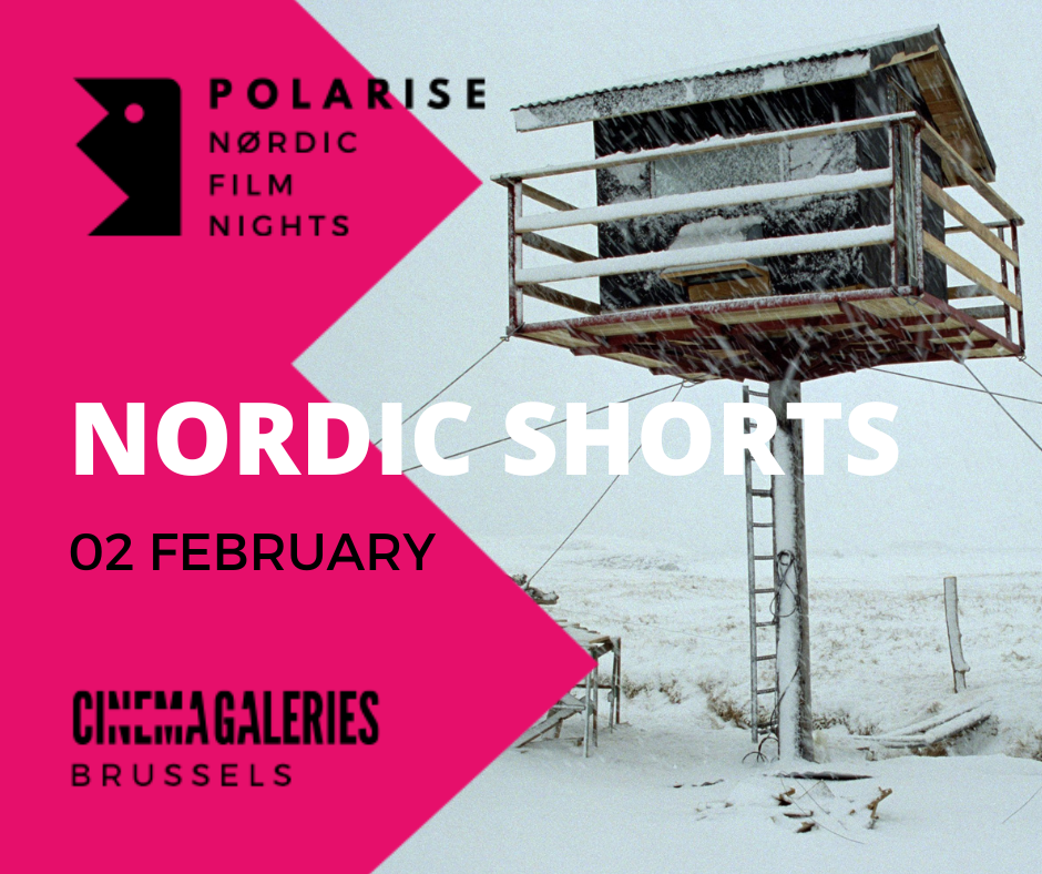 Polarise Nordic Film Nights